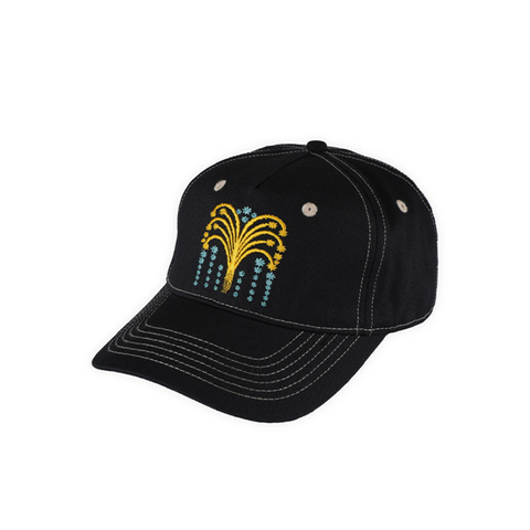 Pass~Port - Roman Candle Packers Cap - Black