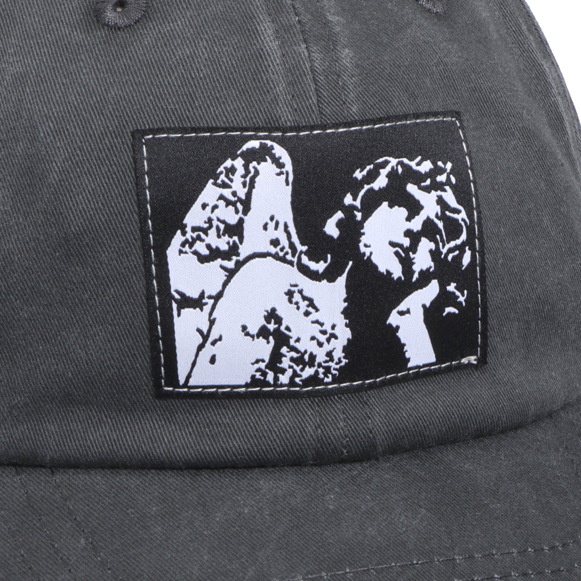 Aerosol - PC Cap - Washed Black