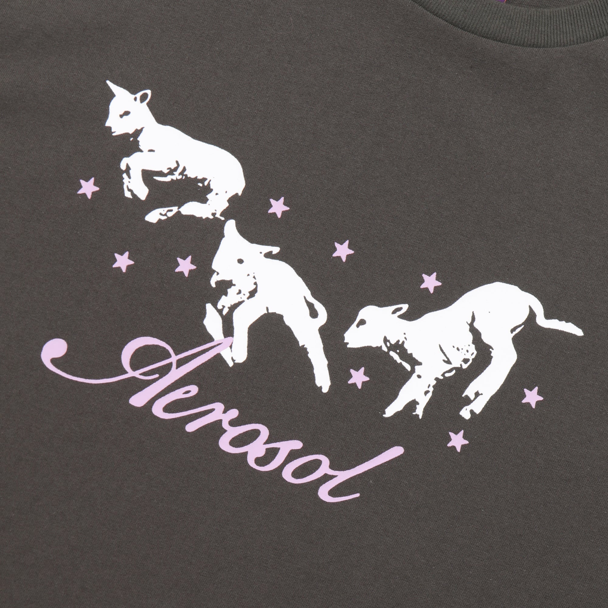 Aerosol - Frolic Tee - Grey
