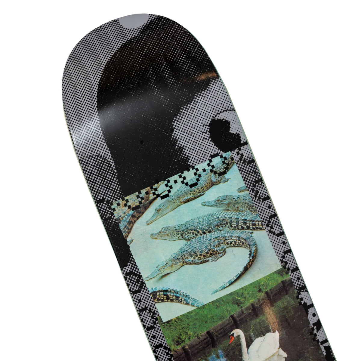 Hoddle - Simon Zuzic Swans Deck - Multi