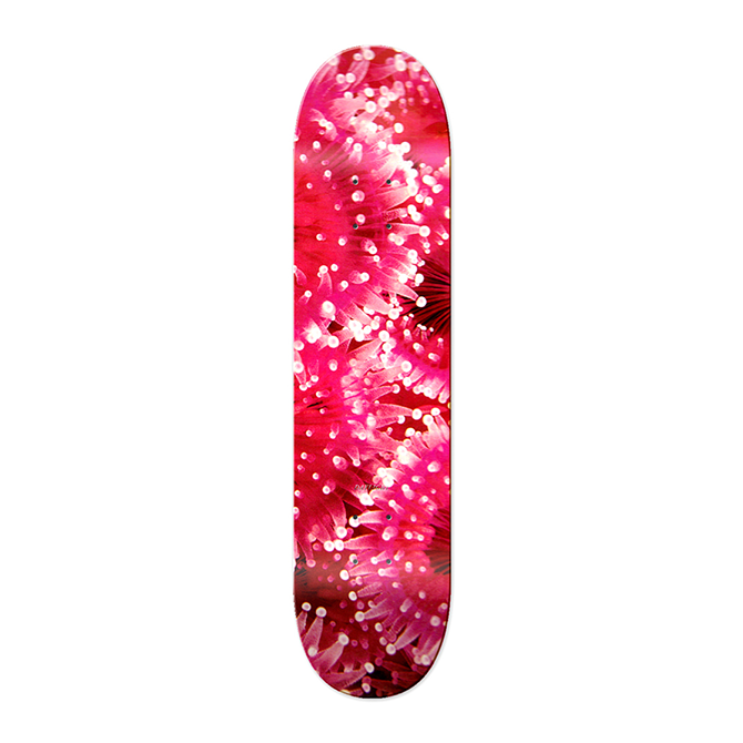 Daylight - Jewel Deck - Pink