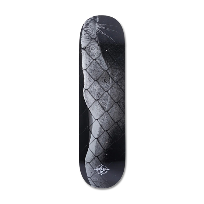Pass~Port - D.G Series Deck - Steed