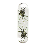 Polar Skate Co. - David Stenstrom Spider Deck - Multi